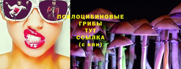 шишки Богородск