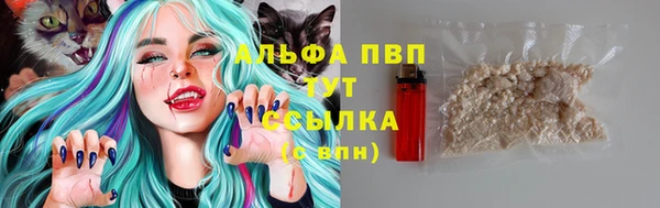скорость Бородино