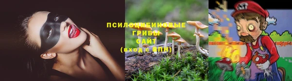 jwh Беломорск