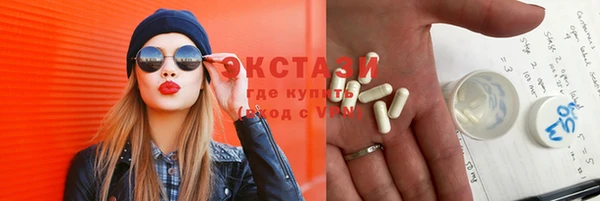 индика Богданович