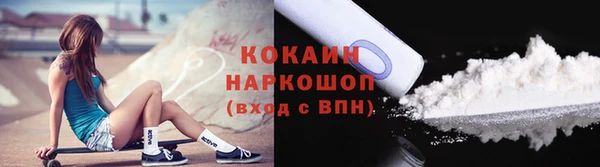 шишки Богородск