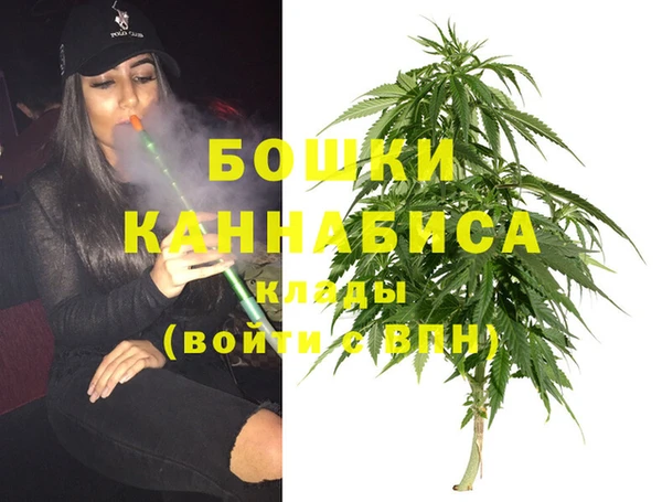 шишки Богородск