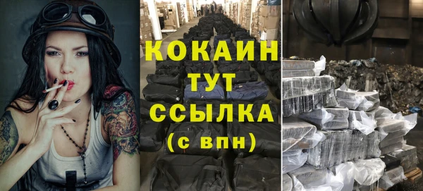 шишки Богородск