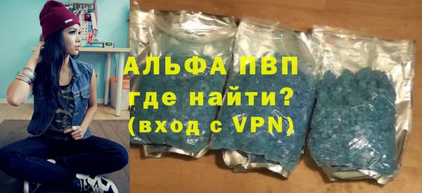 индика Богданович