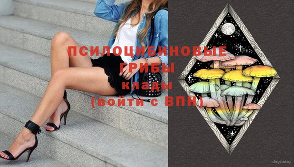 скорость Бородино