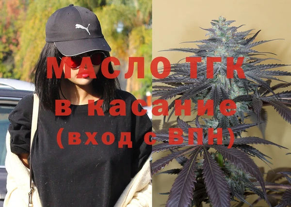 индика Богданович